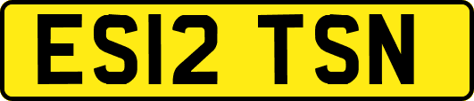 ES12TSN