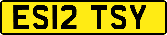 ES12TSY
