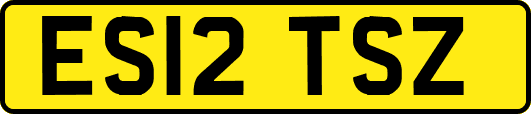 ES12TSZ