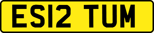 ES12TUM