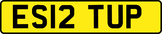 ES12TUP