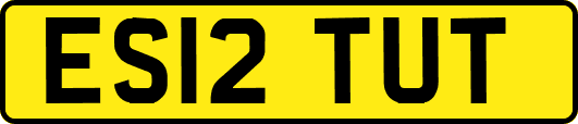 ES12TUT