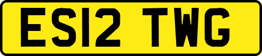ES12TWG