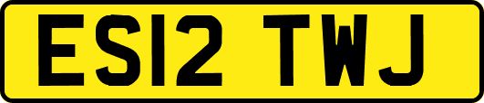 ES12TWJ