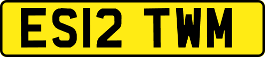ES12TWM