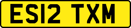 ES12TXM