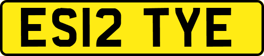 ES12TYE