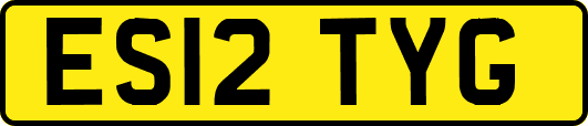 ES12TYG