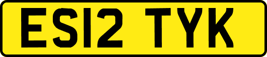 ES12TYK