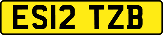 ES12TZB