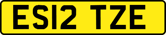 ES12TZE