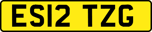 ES12TZG