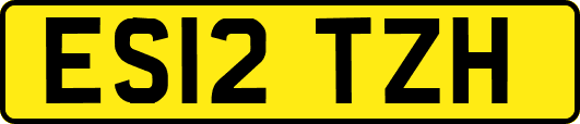 ES12TZH