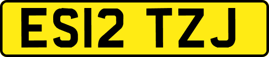 ES12TZJ