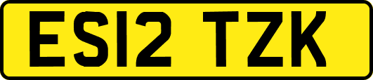 ES12TZK