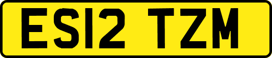 ES12TZM
