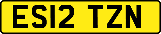 ES12TZN