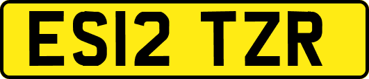 ES12TZR