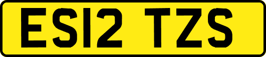 ES12TZS