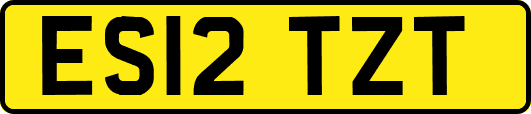 ES12TZT