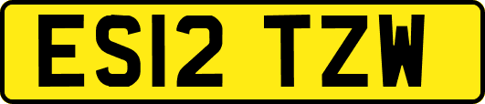 ES12TZW