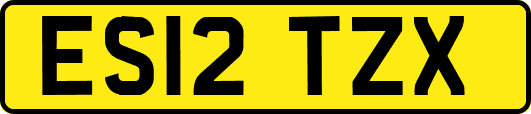 ES12TZX