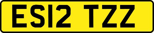 ES12TZZ