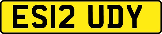 ES12UDY