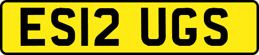 ES12UGS