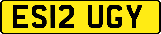 ES12UGY