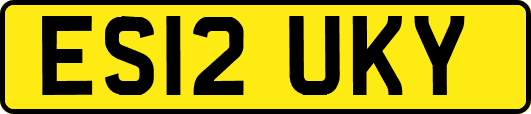 ES12UKY