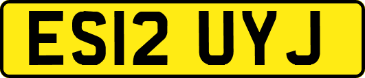 ES12UYJ