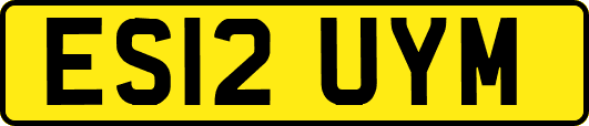ES12UYM