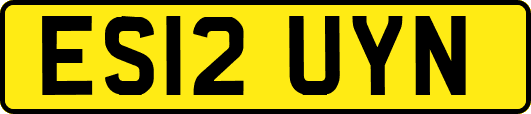 ES12UYN