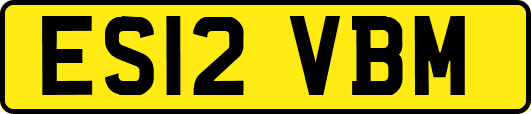 ES12VBM