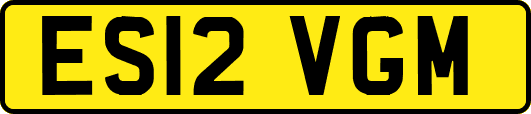 ES12VGM