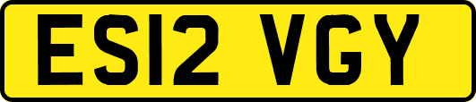 ES12VGY