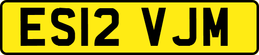 ES12VJM