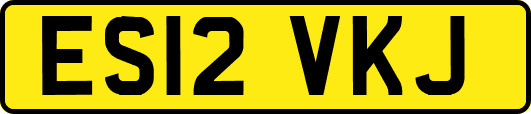 ES12VKJ