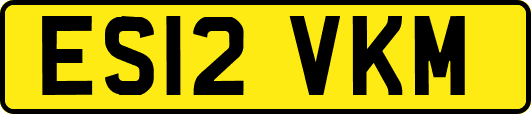 ES12VKM