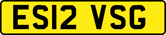 ES12VSG