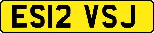 ES12VSJ