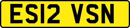 ES12VSN