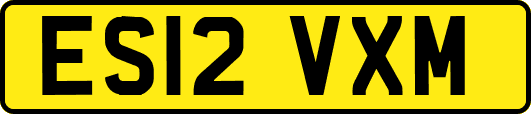 ES12VXM