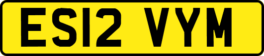ES12VYM