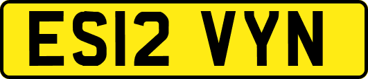 ES12VYN