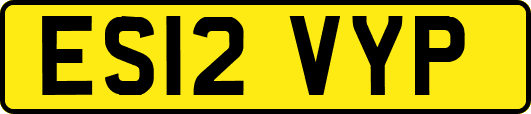 ES12VYP