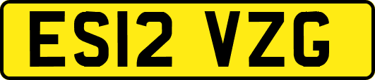 ES12VZG