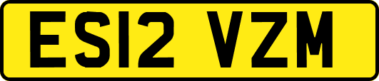 ES12VZM