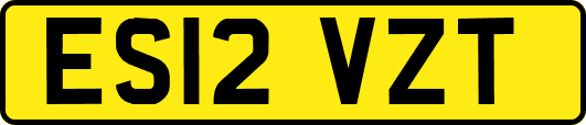 ES12VZT